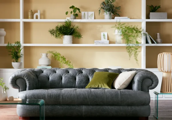 emporio-chesterfield-jazz-divano-header