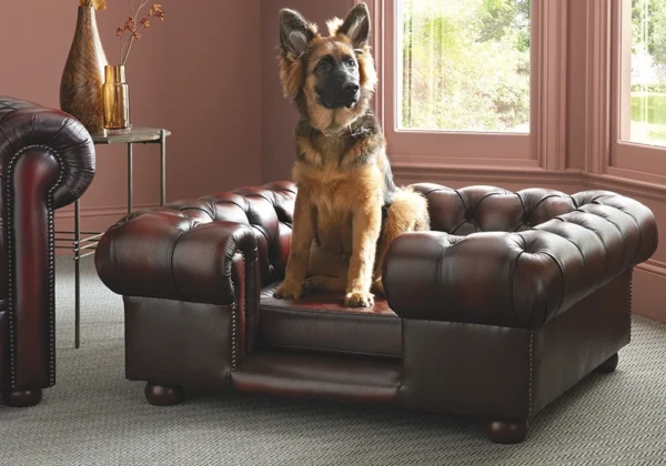 emporio-chesterfield-lincoln-header