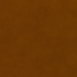 old_english_buckskin