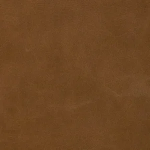 old_english_parchment